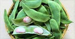 Organic Indian Double Beans