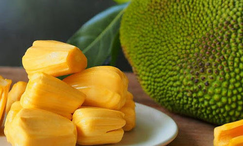 Organic Cut JackFruit Pods-OFFER