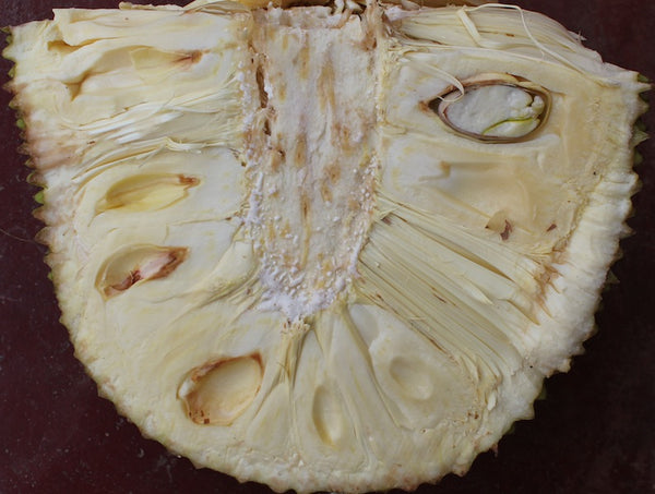 Organic Raw Jackfruit Slice