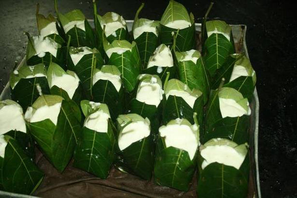 Organic Jackfruit leaves For Kotte-Kadubu