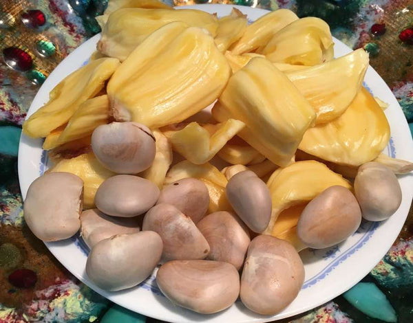 Organic JackFruit Seeds