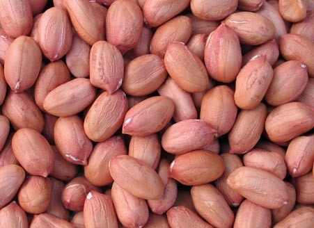 Organic Peanut/Groundnut