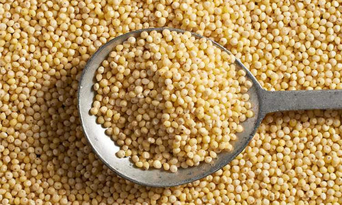 Organic Kodo Millet Rice/Harka/Kodra