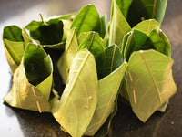 Organic Jackfruit leaves For Kotte-Kadubu