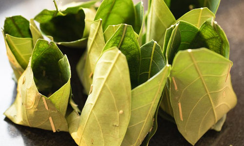 Organic Jackfruit leaves For Kotte-Kadubu