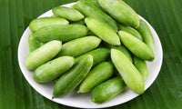 Organic Coccinia / Ivy Gourd