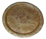 Sal Leaf Plates (100% Bio-degradable)