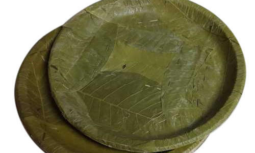 Sal Leaf Plates (100% Bio-degradable)