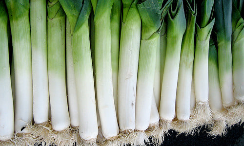 Organic Leeks