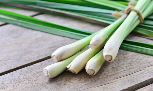 Organic Lemon grass