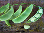 Organic Fresh Lima / Double Beans-Peeled