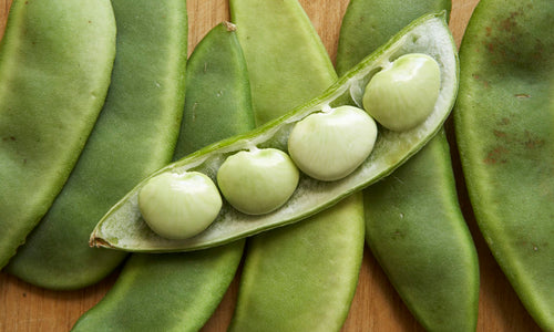 Organic Fresh Lima / Double Beans-Peeled