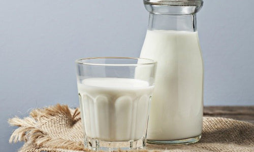 Organic Desi Cow Milk with A2 Protein