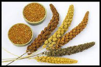 Organic Millets Mix (Foxtail,Kodo&Little)