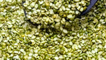 Organic Green Moong Dal split Premium (Gluten-Free)