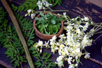 Organic Moringa Flowers