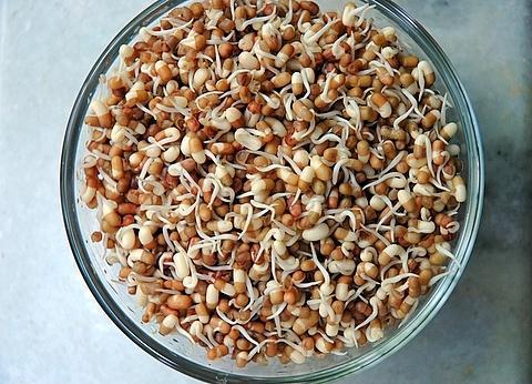 Organic Moth Bean (Matki Dal)