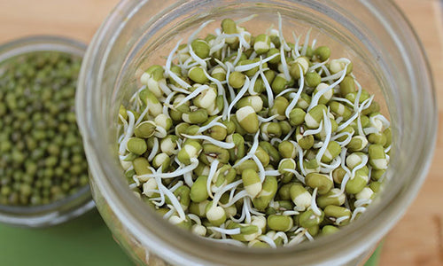 Organic Moong Sprouts