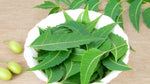 Organic Fresh Neem Leaves