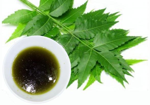 Natural Neem Oil* – GreenDNA® India