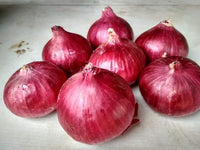 Organic Onion