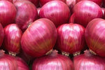 Organic Onion