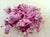 Organic Onion Chopped
