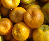 Organic Orange (Nagpur)