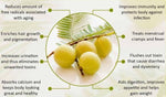 Organic Gooseberry / Amla-Offer