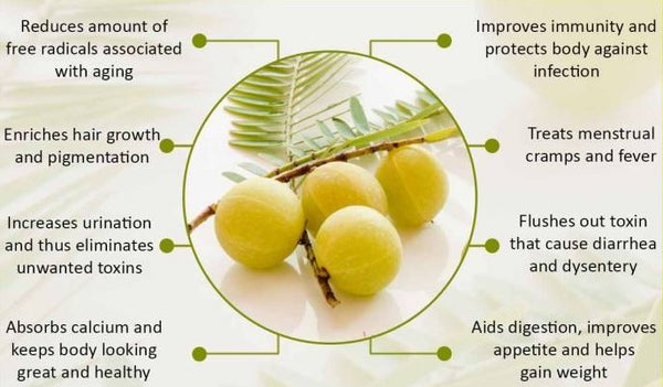 Organic Gooseberry / Amla