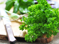 Organic Parsley