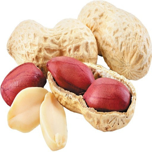 Organic Groundnut with shell (Red) – GreenDNA® India