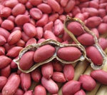 Organic Groundnut with shell (Red)