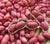 Organic Groundnut with shell (Red)