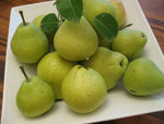 Organic Pears