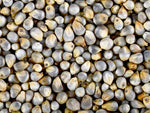 Organic Pearl Millet Rice/Bajra