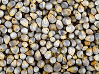 Organic Pearl Millet Rice/Bajra