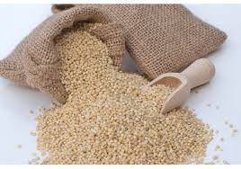 Organic Poroso Millet Rice / Barigalu
