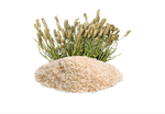 Organic Psyllium / Isapgol Whole Husk