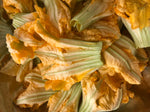Organic Pumpkin Flower (Odia style)