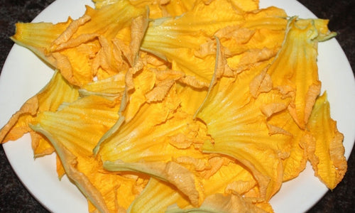 Organic Pumpkin Flower (Odia style)