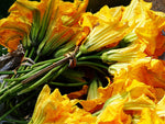 Organic Pumpkin Flower