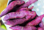 Organic Sweet potato Purple / Genasu