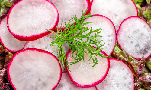 Organic Red Radish Sliced