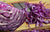 Organic Shredded Red Cabbage