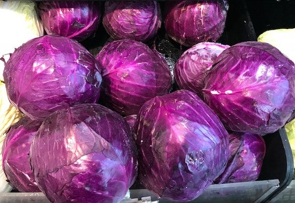 Organic Red Cabbage