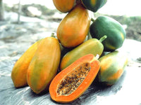 Organic Papaya Small