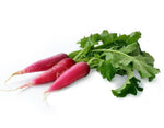 Organic Red Radish