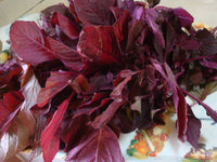 Organic Red Amaranth Leaves