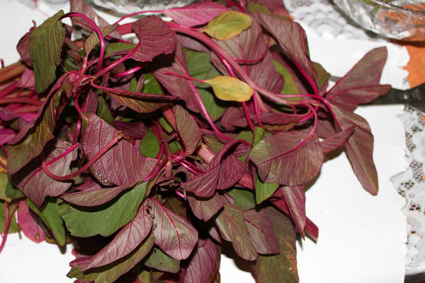 Organic Red Amaranth Leaves